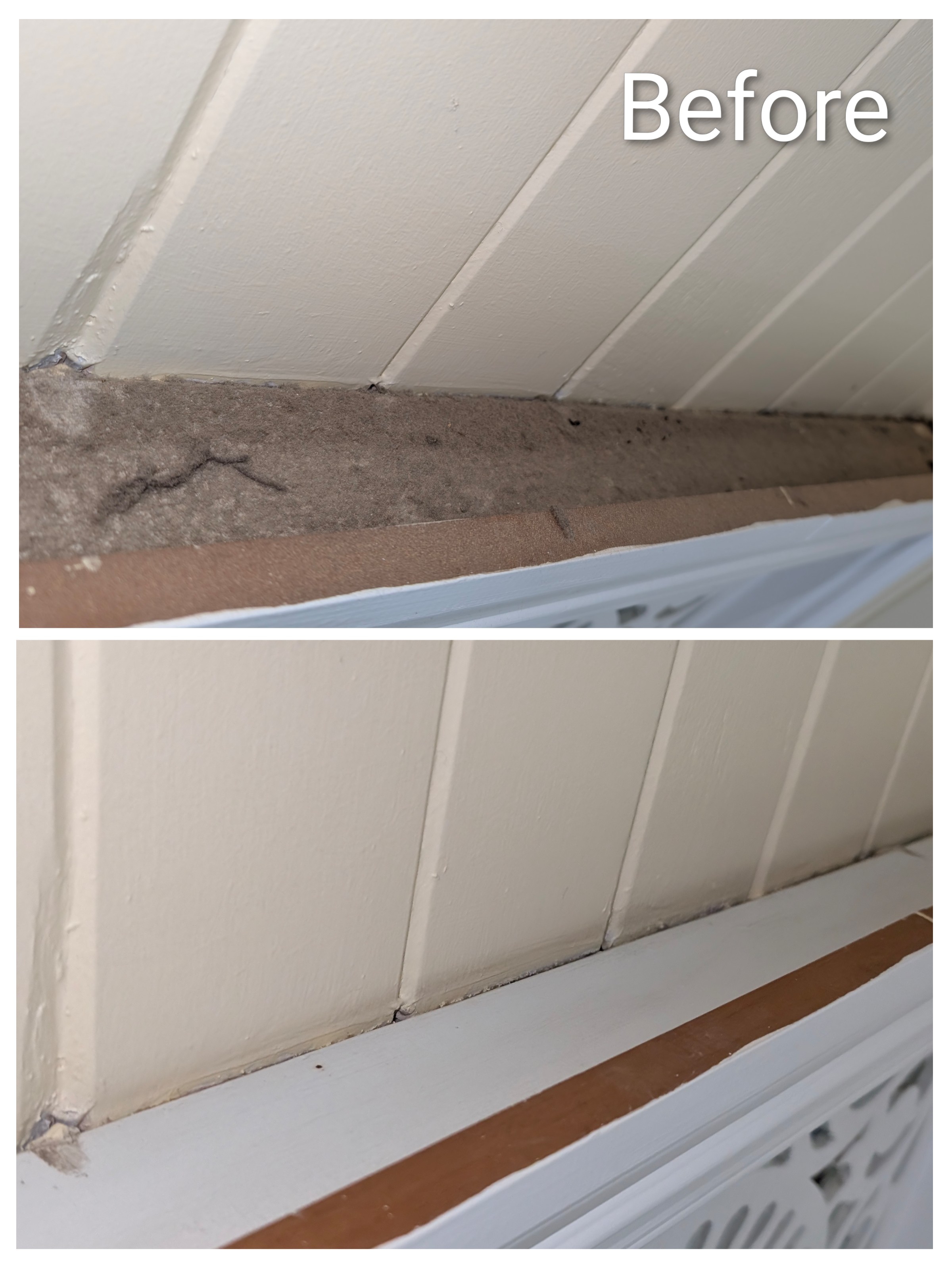 Deep clean Norman Park - Living area transformation
